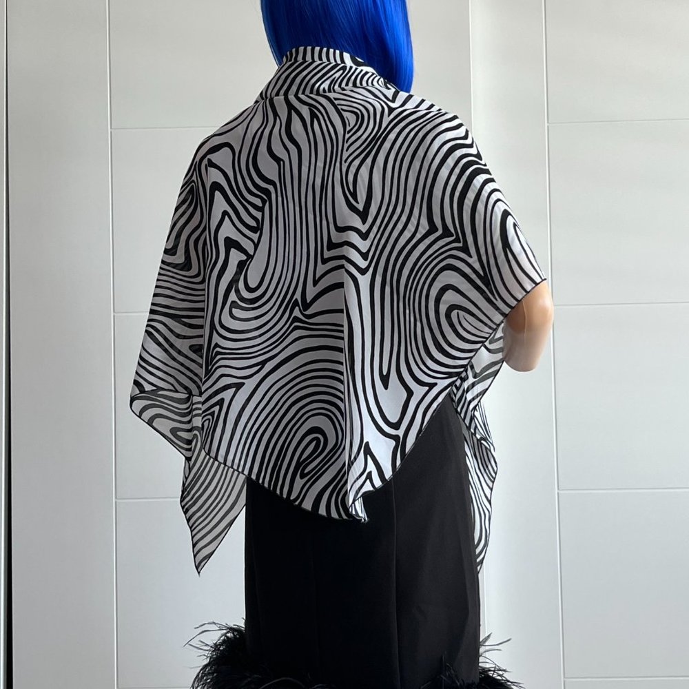 Zebra - Picture 14 of 15